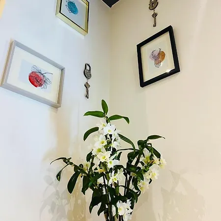 Hotel Sport Al Sole 3*